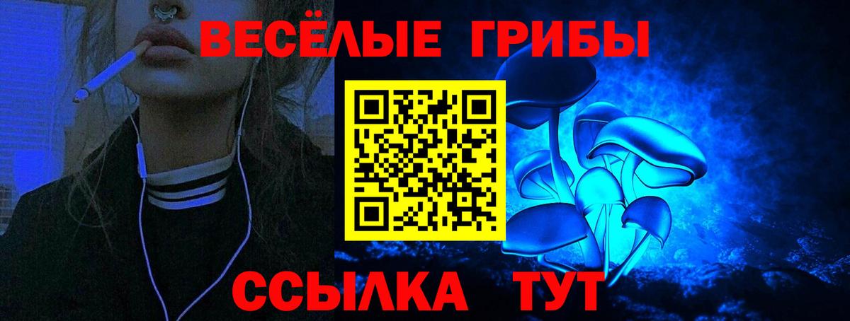 Галлюциногенные грибы GOLDEN TEACHER Приморско-Ахтарск